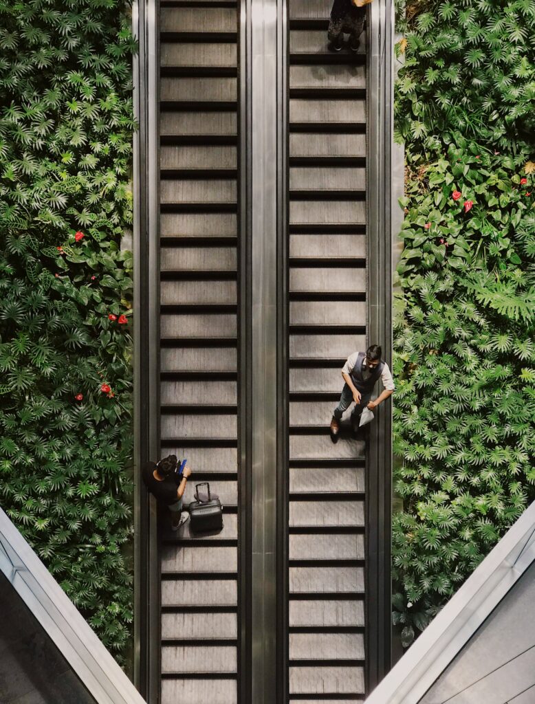 two people stand on escalators surrounded by plants 